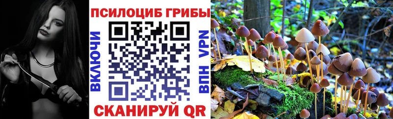 Купить где  Строитель  Галлюциногенные грибы мицелий 